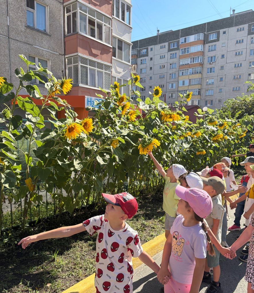 Золотая улыбка лета