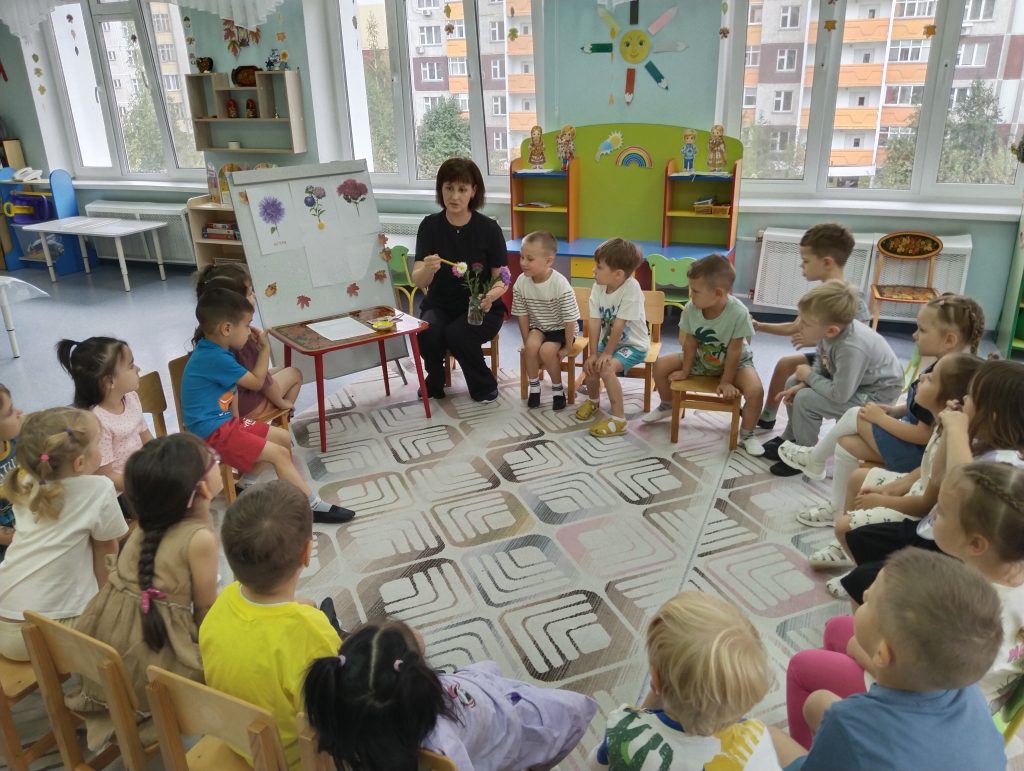 Пушистые астры